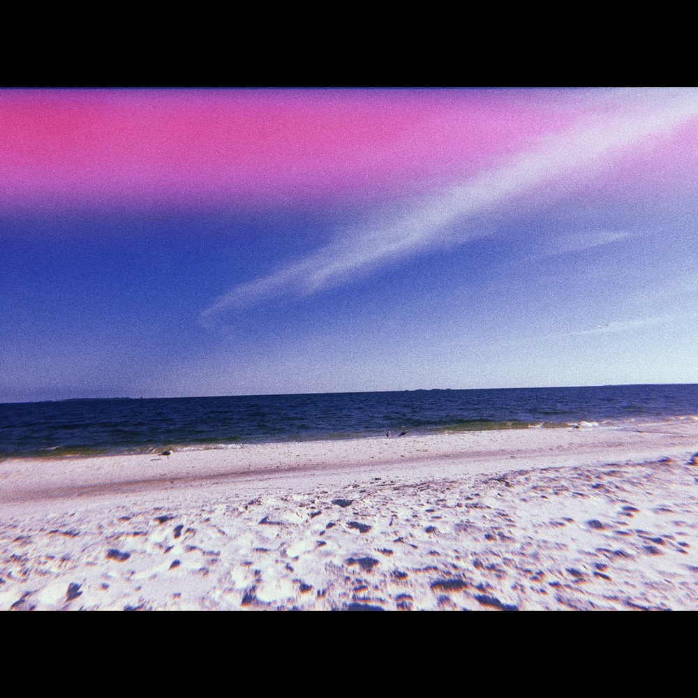 Meet your Posher, Sophie